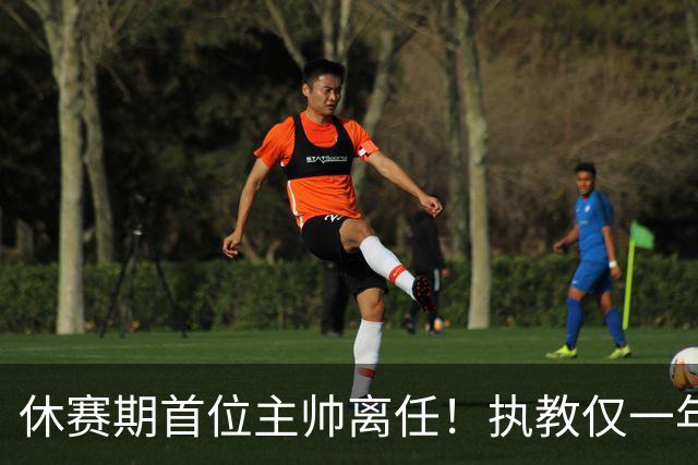 休赛期首位主帅离任！执教仅一年，季后赛无望，辽籍教头告别北控