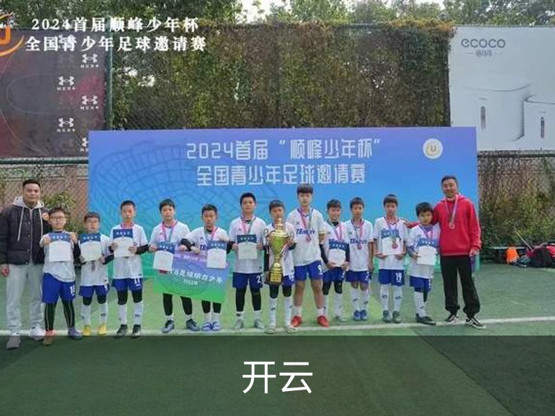 开云简介