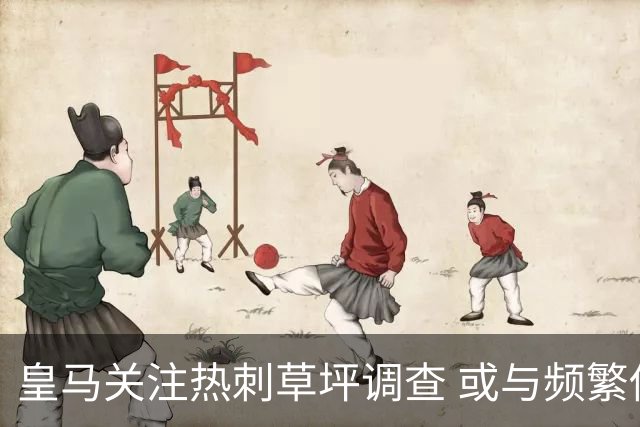 皇马关注热刺草坪调查 或与频繁伤病有关