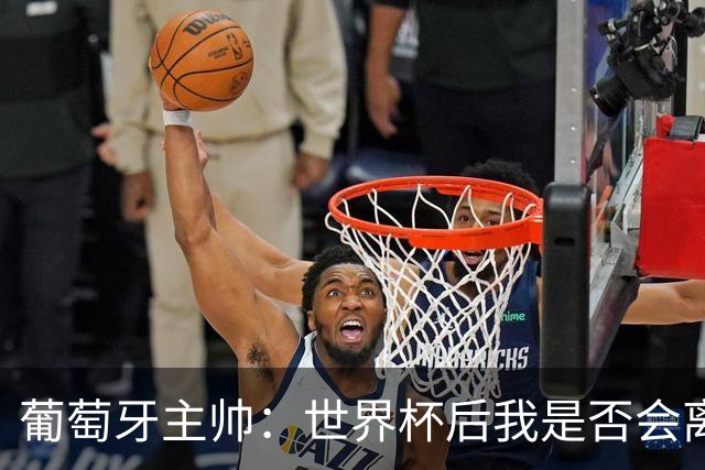 葡萄牙主帅：世界杯后我是否会离任？现在重要的是专注于世界杯