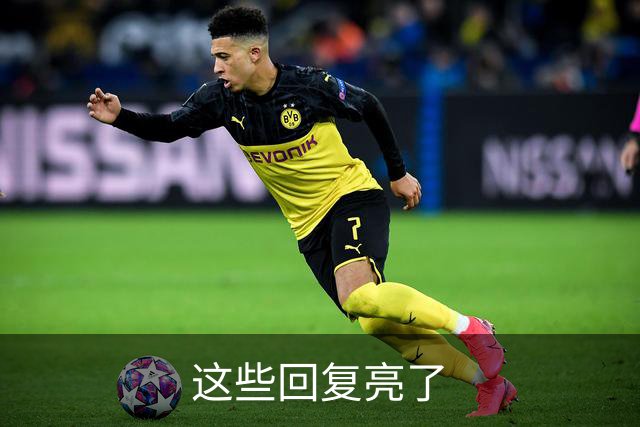 这些回复亮了